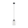 Elio transparent lampa wiszaca 1 4339 - TK Lighting