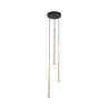 Piano black gold lampa wiszaca 3 10117 - TK Lighting