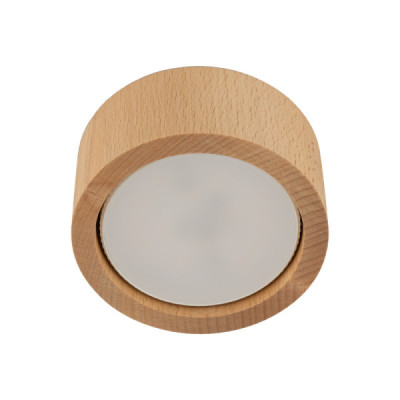 Eve wood buk lampa sufitowa 1 10123 - TK Lighting